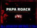 papa roach - M-80 (Explosive Energy Moveme - Live and Murder