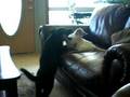 Teeka and Bear