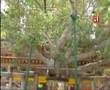 Buddhism - Pali Chantings {Bodhi Vandana}