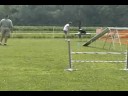 Neat Flashpoint - 7/19 - Adv Std