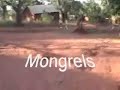 Morogoro 2