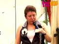 Liu Lingling, compere, singer and carpark attendant?