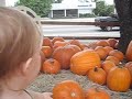 Alisa at pumpkin patch for 1st time (10-11-08)