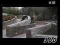 videos de this why china is NO.1in Beijing 2008 Olympic Games.flv