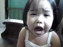 dyanel\
