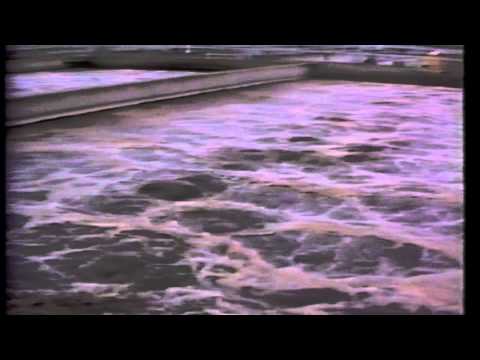 Diesel Pumpsets image