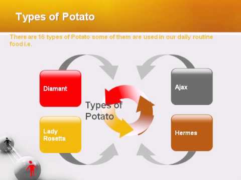 how to grow potatoes ppt