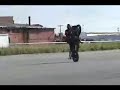 ape hanger gone bad