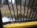 My Muskeg