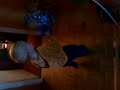 MOV00134