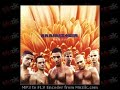 Videos Musicales de Rammstein