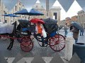 rena ware viaje a italia