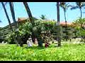 Kaanapali Beach Hotel outdoor shower
