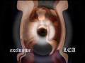Joana Mallah Hatefdal Fi Albe remix { spicial addition by LCA }
