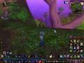 Teldrassil Jump