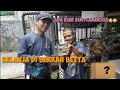 Ikan Hias Depok Tanah Baru Rw 01 Beji