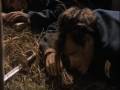  - MovieZen Video