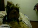 Lupi - Eu me remexo muito Lupi - Eu me remexo muito