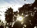 Tippi Hedron moment