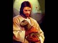 Atheist Nightmare! - Young Earth Proof