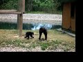 Zoo fun 3
