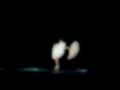 Atomic Bombshells @ Theatro Circo de Braga