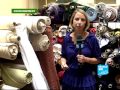 France 24 Environnement - Environnement : La Couleur De Nos Habits