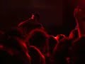 animal collective - hey light - who could win a rabbit