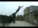 Falconkie Nice Cat Leap