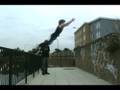videos de Falconkie Nice Cat Leap