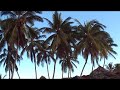 29/05/2008?in Zanzibar4,Tanzania??????4 ?????