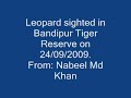 Leopard on a tree Bandipur. From: Nabeel Md Khan