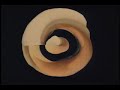 inner ear visualization