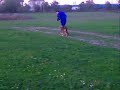 pui de caucazian
