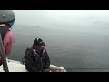 Click here to watch this video Ｔさんも箸休め（ルアーマンですから餌釣りは・・・）でキス釣り