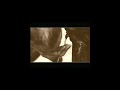 francesco de gregori - live (1989);
 
francesco de gregori - voce e chitarra
lola feghaly e lalla francia - coro
orazio maugeri - sassofono
vincenzo mancuso - chitarra elettrica
lucio bardi - chitarra acustica
massimo spinosa - tastiere
gilberto martellieri - pianoforte
guido guglielminetti - basso
elio rivagli - batteria