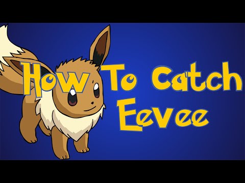 how to get more eevee