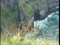 Cliffs of Moher