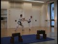 TKD Baden Demo Brugg - Peter Regan TKD Baden Demo Brugg - Peter Regan
