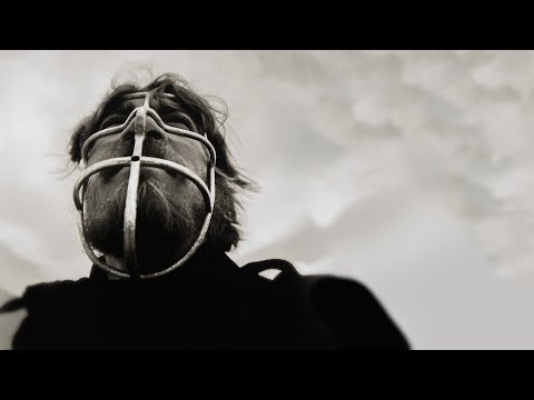 Pedeo Meyer – wisdom worth considering – Trond Are Øritsland