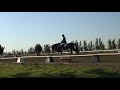 Pouilly Dressage Test July 2006