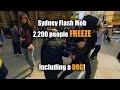Sydney-Flash-Mob-Fre
