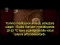 Tibetli Budist Rahipler - Meditasyon ve Bilim