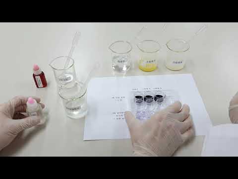 소화제 효능 비교 실험