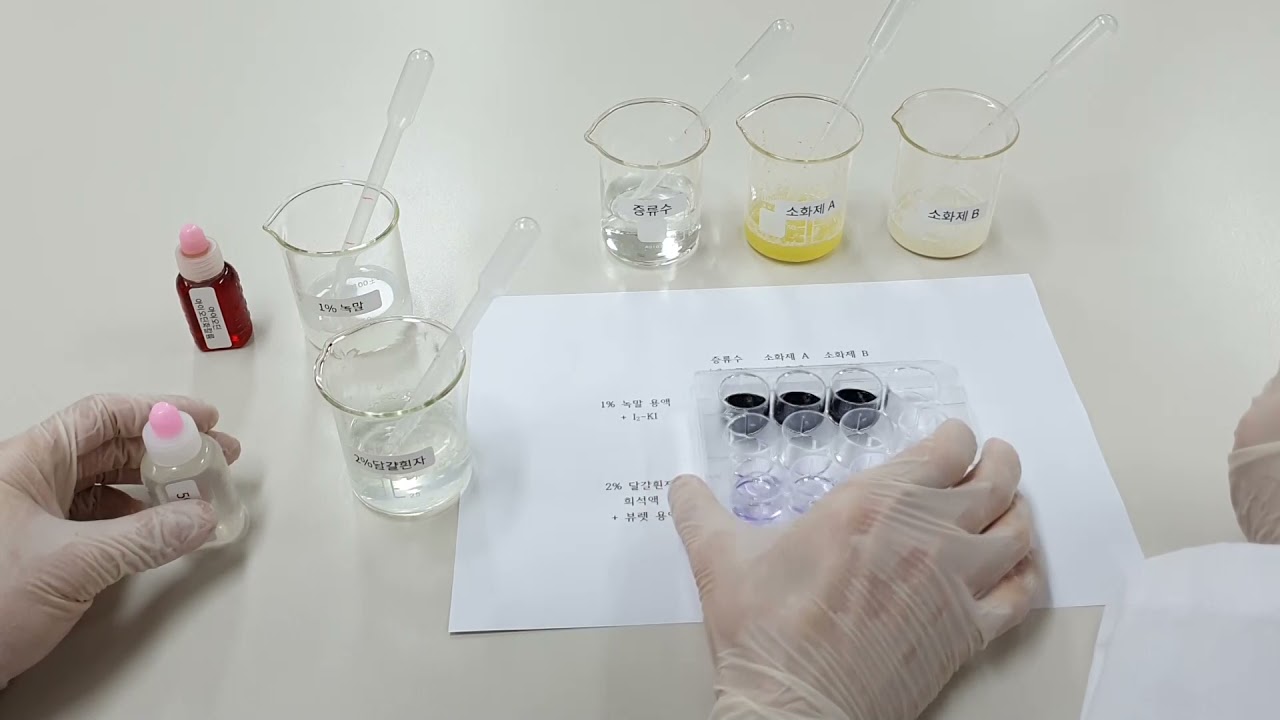 소화제 효능 비교 실험