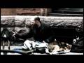 videos de Suburban Folk - Steinbecks Guitar