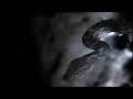 A snake in a cave is trying to catch some bats flying past as seen on BBC's Planet Earth.Things to think about:How have the Bats and snake adapted to their cave environment?What features of the bats and snake have enabled them to survive, and how are they developing further?What are the needs of the bats and snake?Respond in a comment or use a video response instead.All videos on this profile are legal and were obtained with owner's permission.