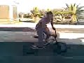 bmx (el pavon)