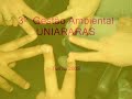 videos de tudo acaba em pizza - Gestão Ambiental - UNIARARAS