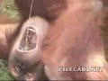The Most Disgusting Thing I Have Ever Seen!!!!